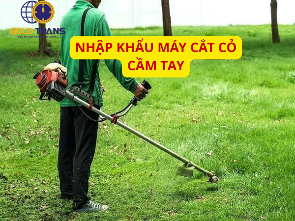 THU-TUC-NHAP-KHAU-MAY-CAT-CO