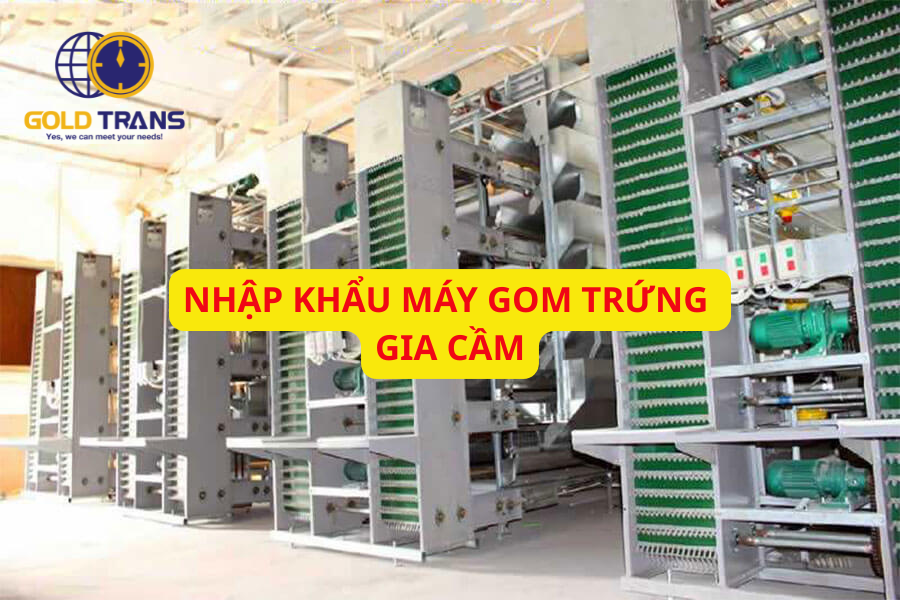 thu-tuc-nhap-khau-may-gom-trung-gia-cam